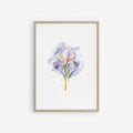 Framed artwork of a watercolor iris flower on a white background