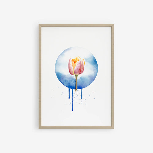 Framed artwork of a tulip flower with a blue circular background on a white wall.